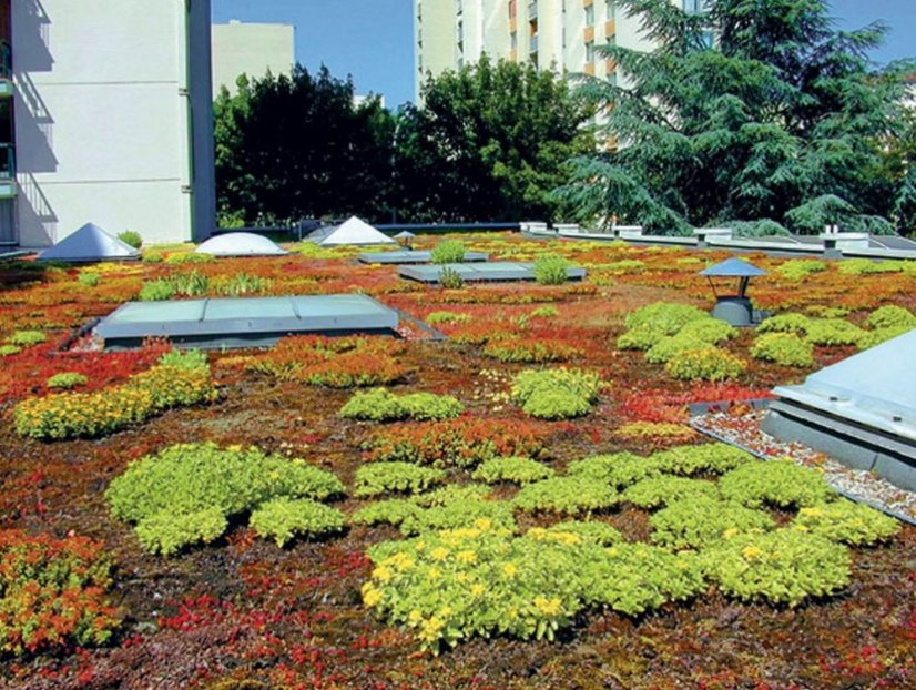 Nopová fólie 20 Garden