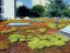 Nopová fólie 20 Garden